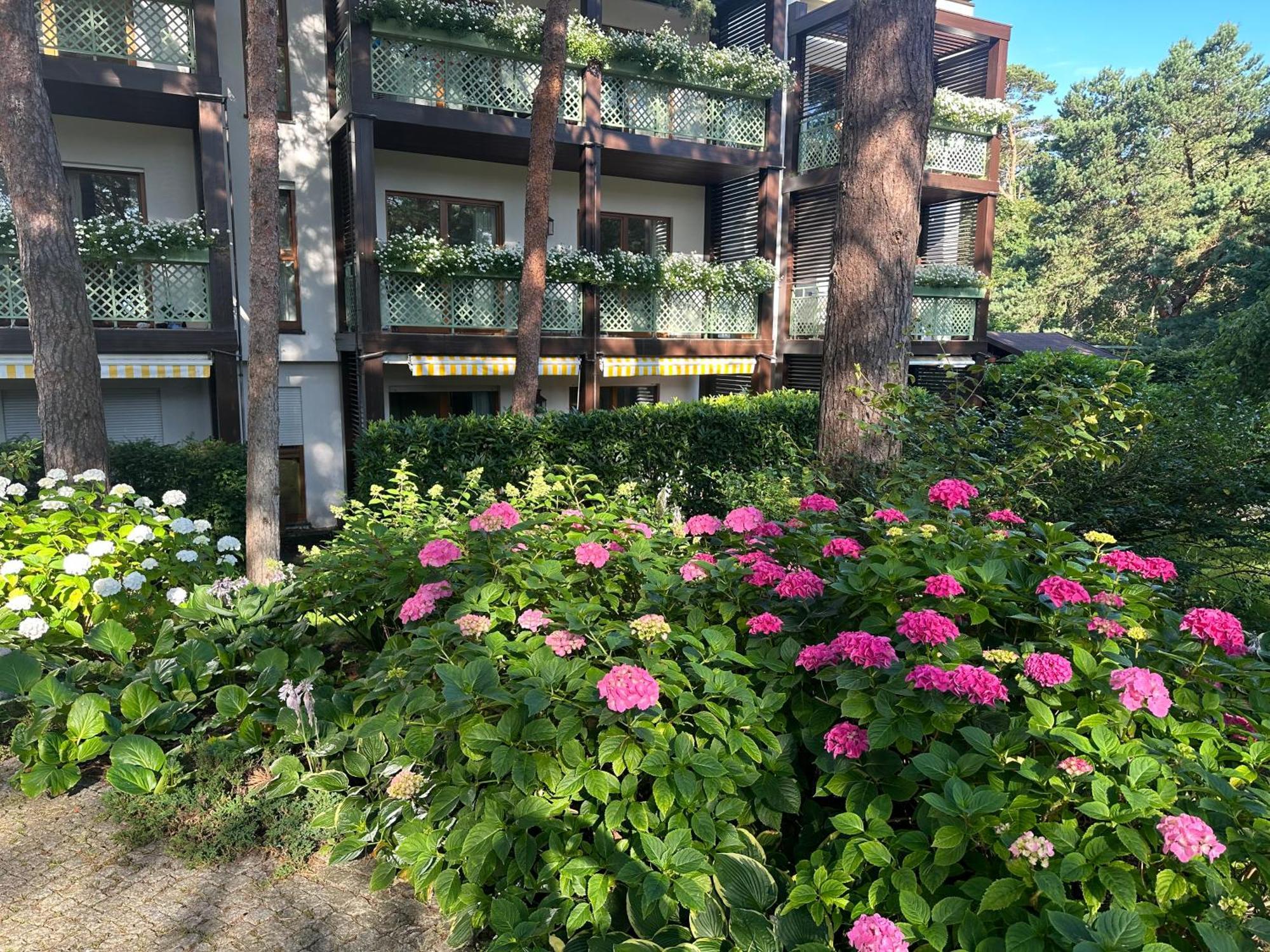 Apartament Bryza - Szczesliwa Dziewiatka يوراتا المظهر الخارجي الصورة